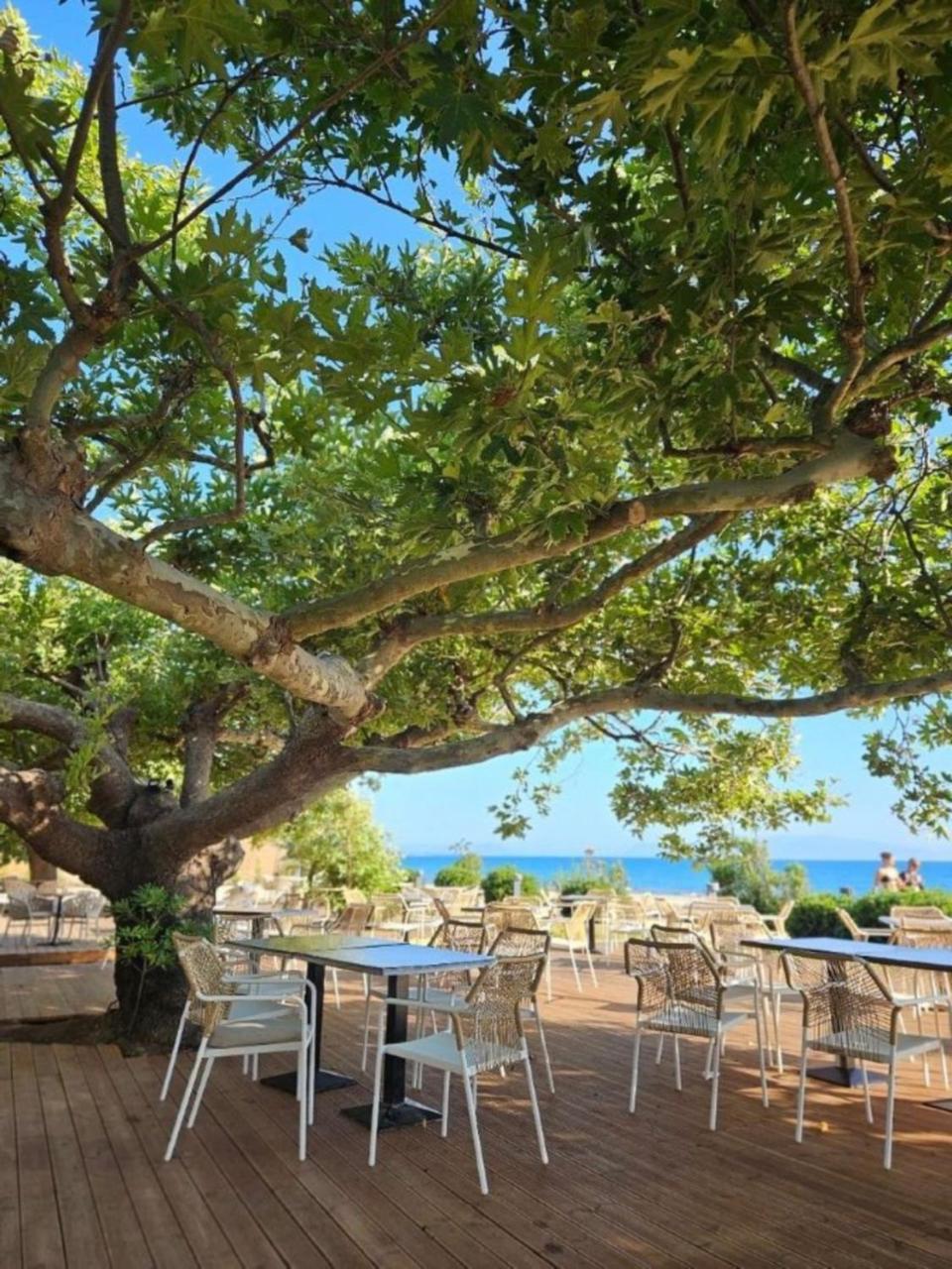 Ninos Grand Beach Resort Kastrosikia Eksteriør billede